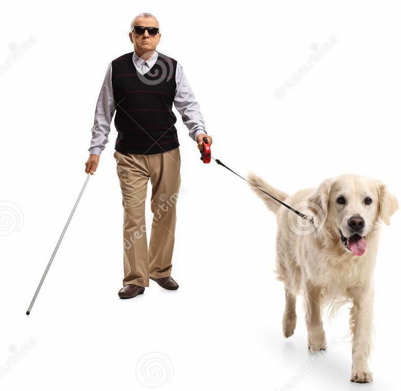 blind-mature-man-walking-stick-dog-full-length-portrait-blind-mature-man-walking-stick-dog-isolated-106329647.jpg.04b5785809e2e1c5566ddbf0d49cbdeb.jpg