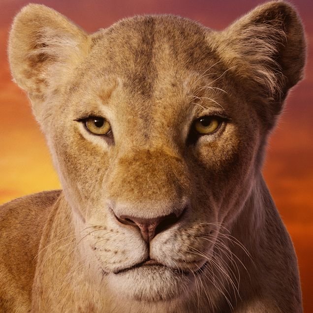 char-banners-lions-names-nala-united-kingdom-1559301410.jpg