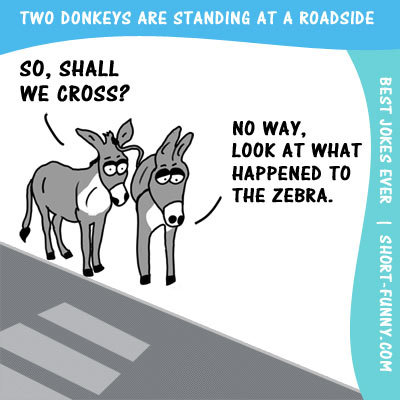 donkey-joke.jpg.eefed96bbd8f523dfa81303ecff9268d.jpg