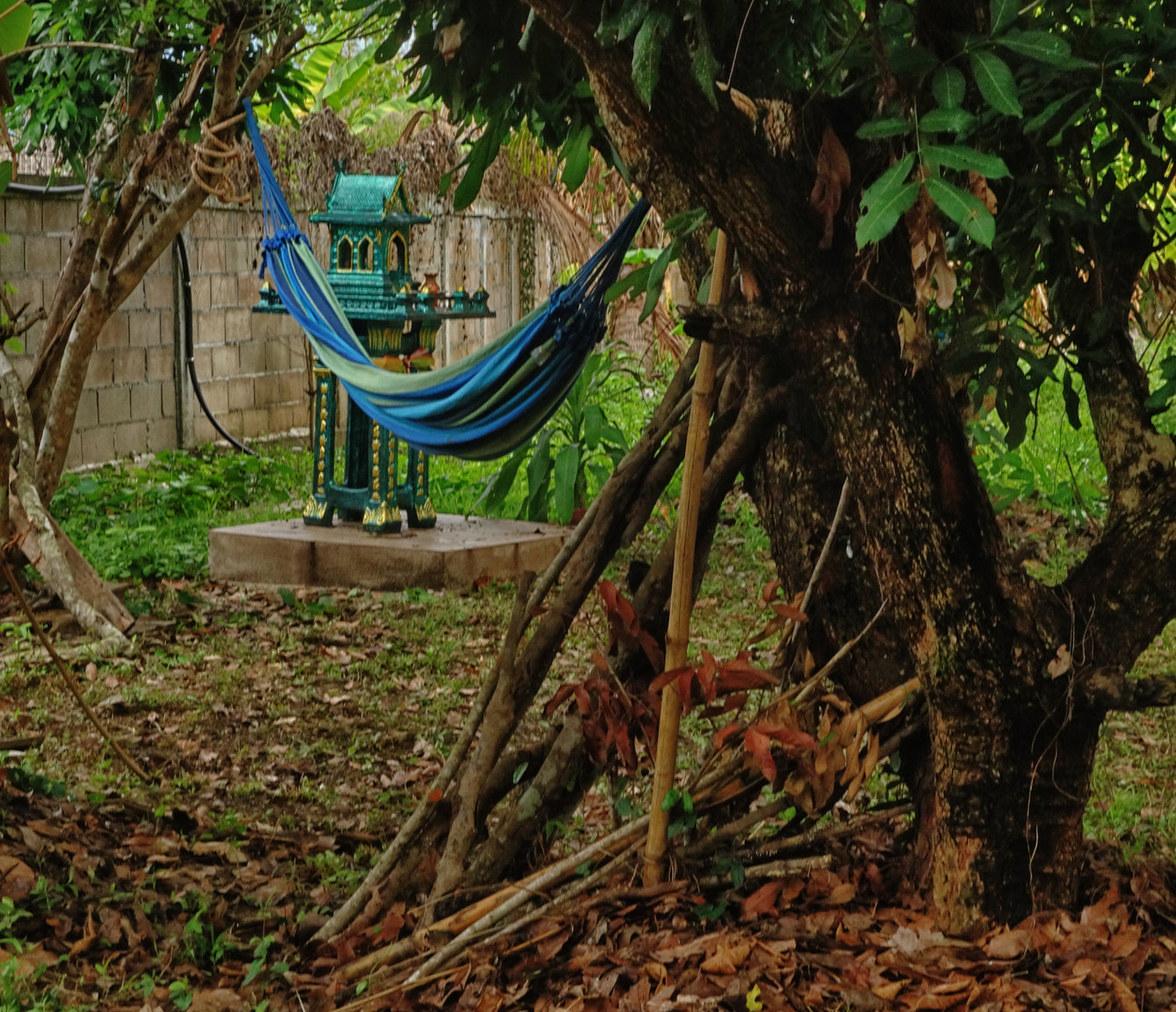 hammock55.jpg