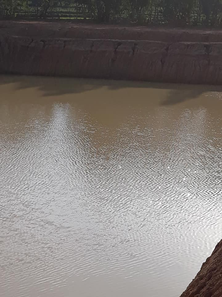 image.png.1c5b3bf68c61fbf327168fde3db32e40.png