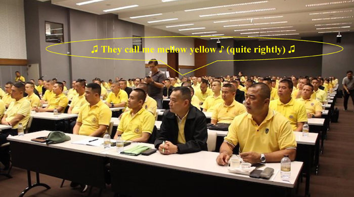 193645258_yellow1.jpg.e1ed2cfd65e40c679138797bbd0a546f.jpg