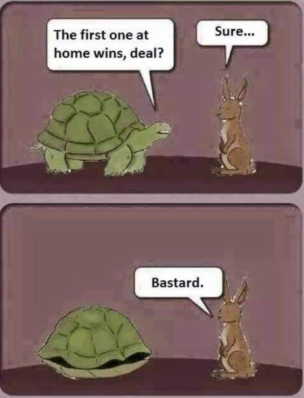 2087900360_HareTortois.JPG.52526ec53b2e956b0ea3621ce5581fa3.JPG