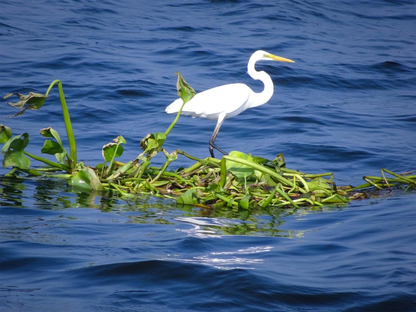 2118706852_DSC05306_edited(Large).jpg.7beab2030138ce1792a7024941254328.jpg