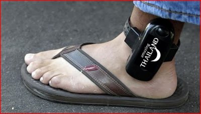 TM30 Reporting Device.jpg