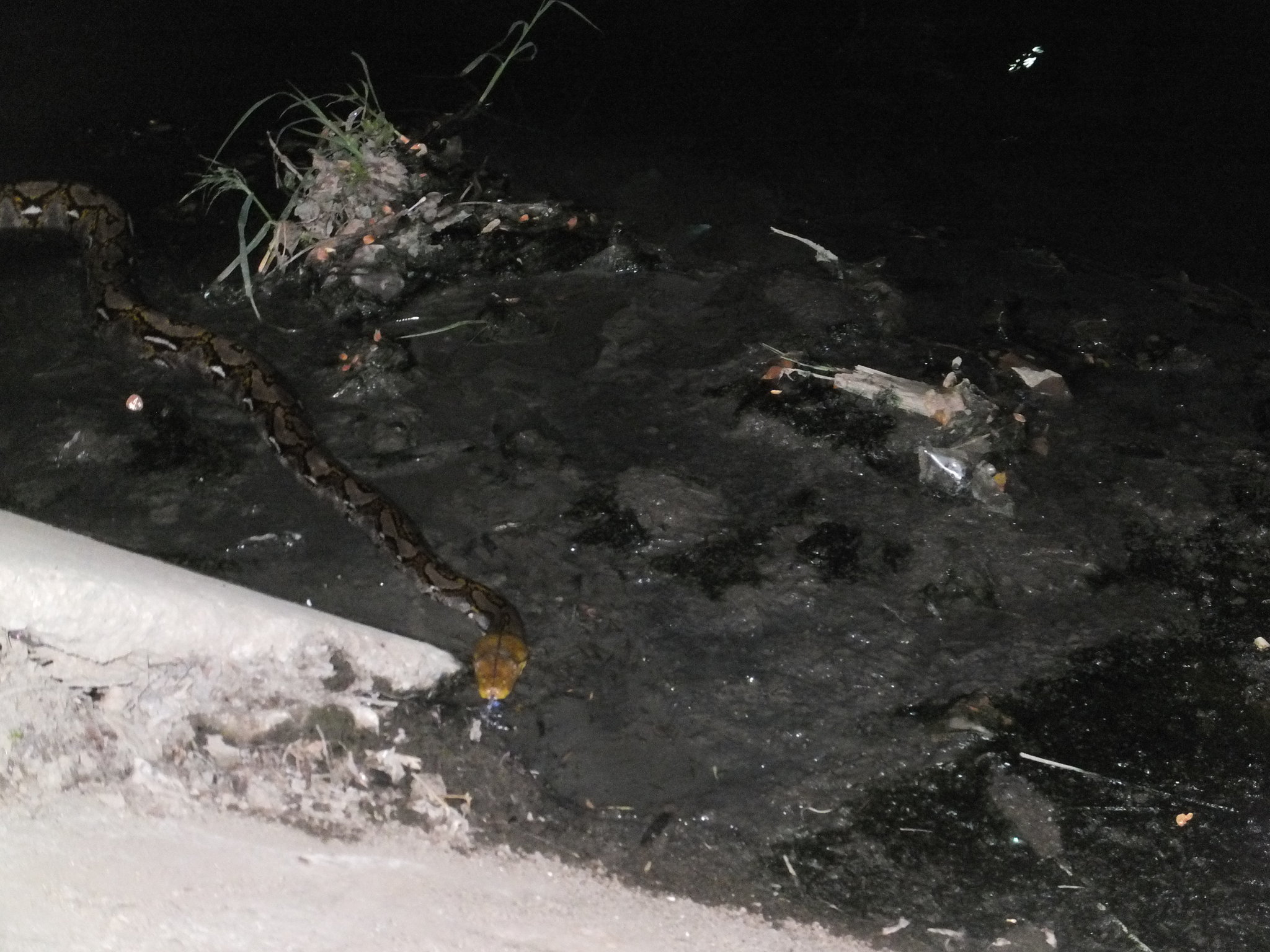 DSCF4119.JPG