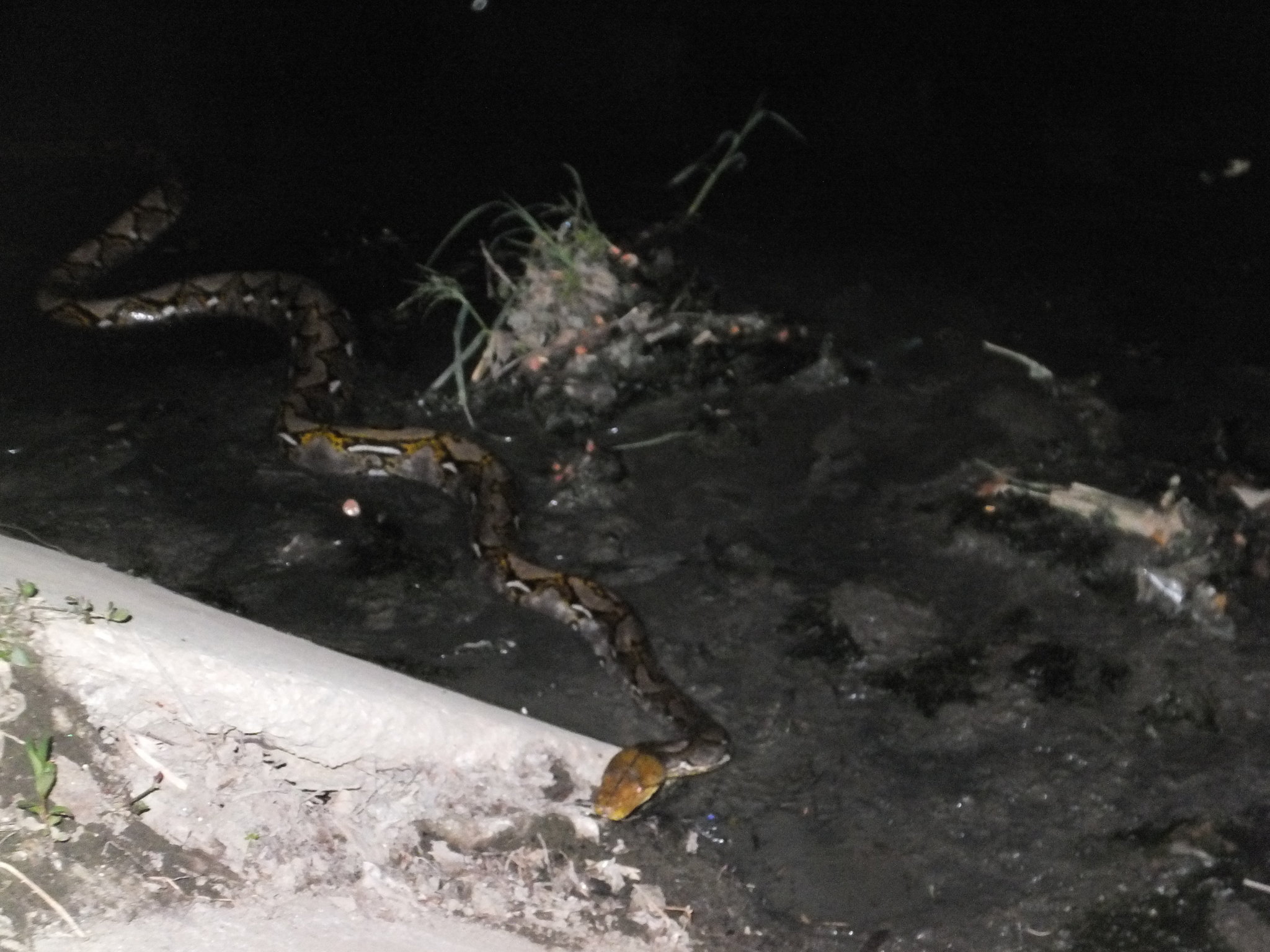 DSCF4120.JPG