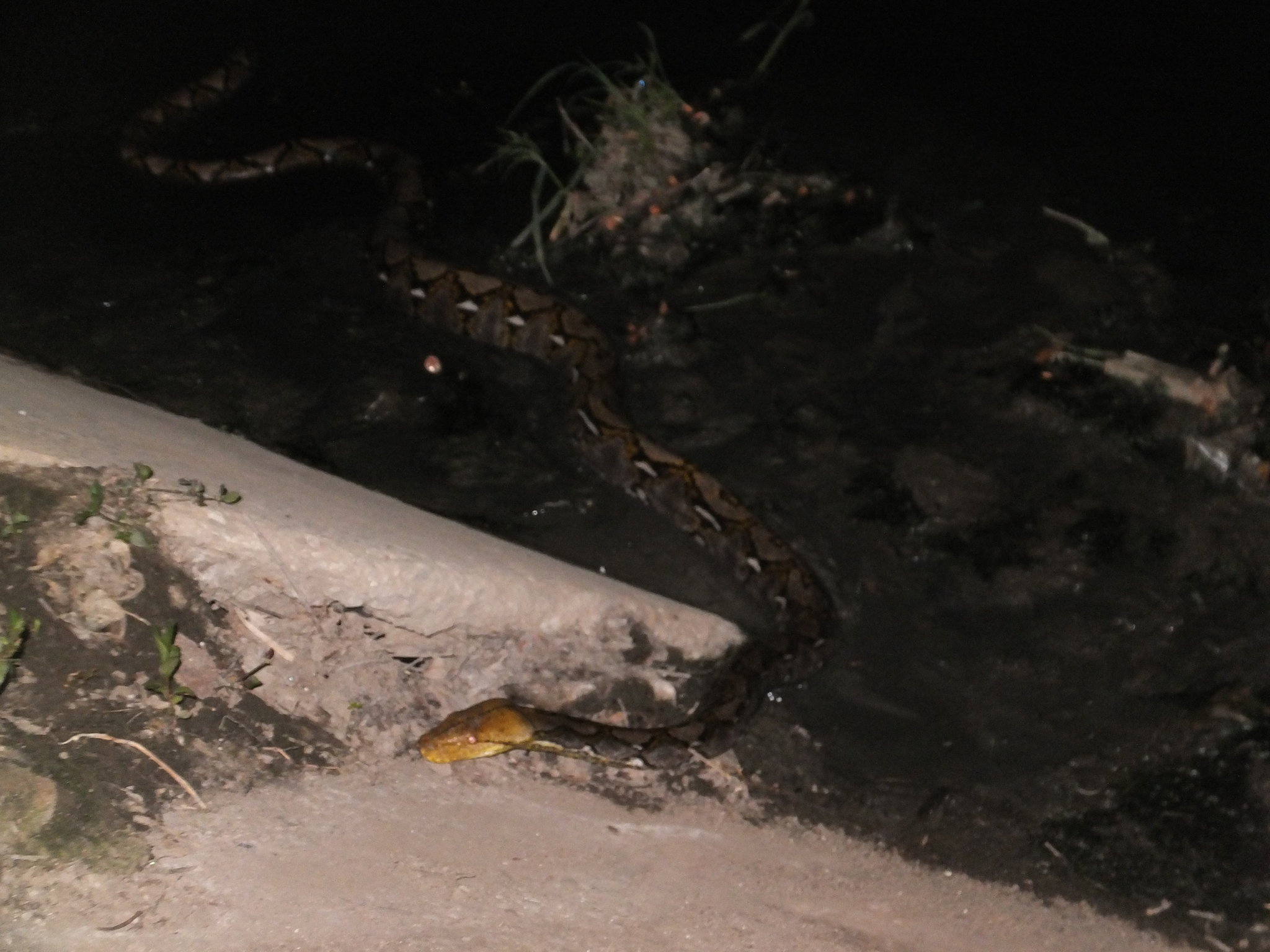 DSCF4122.JPG