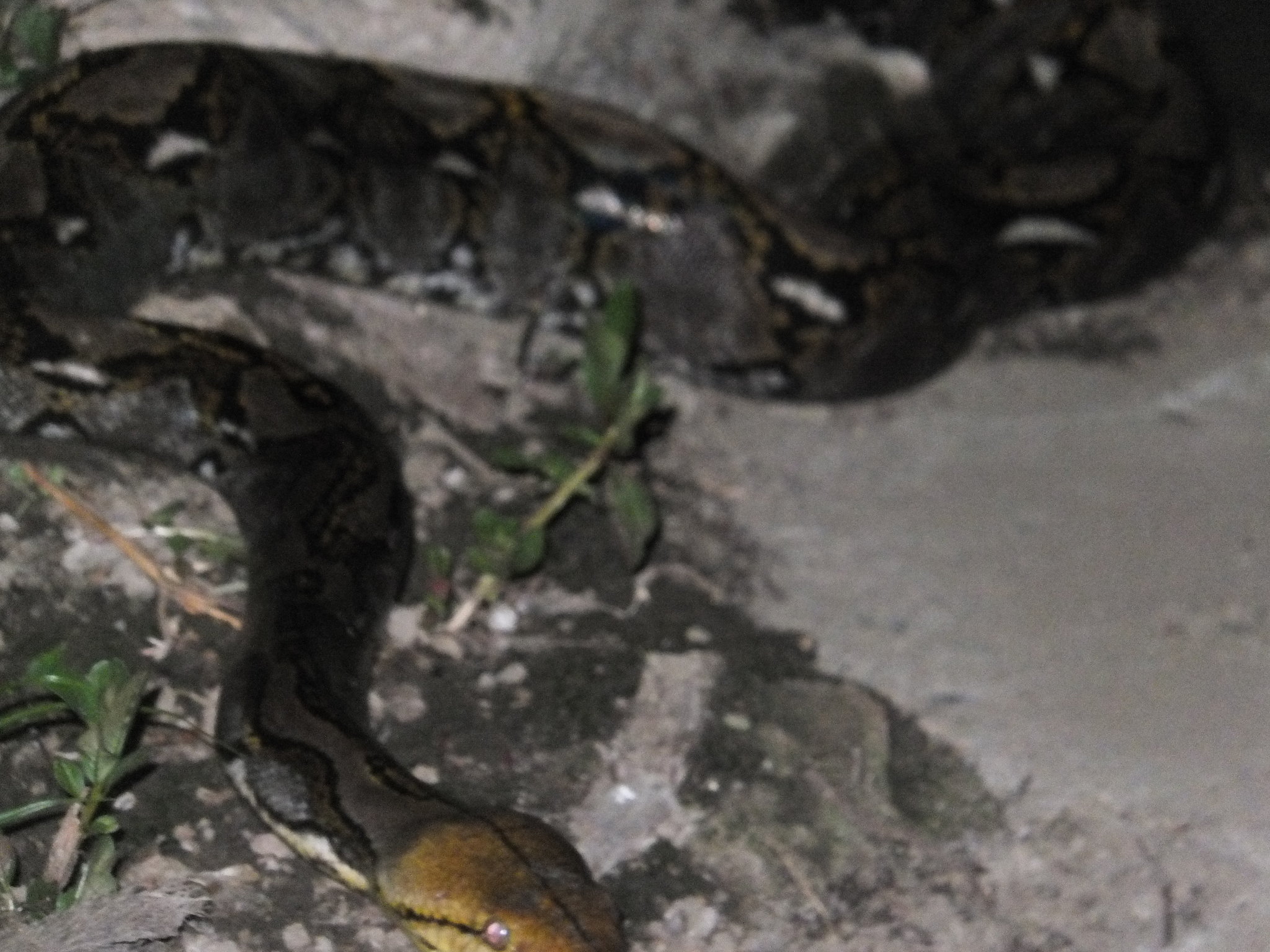 DSCF4128.JPG