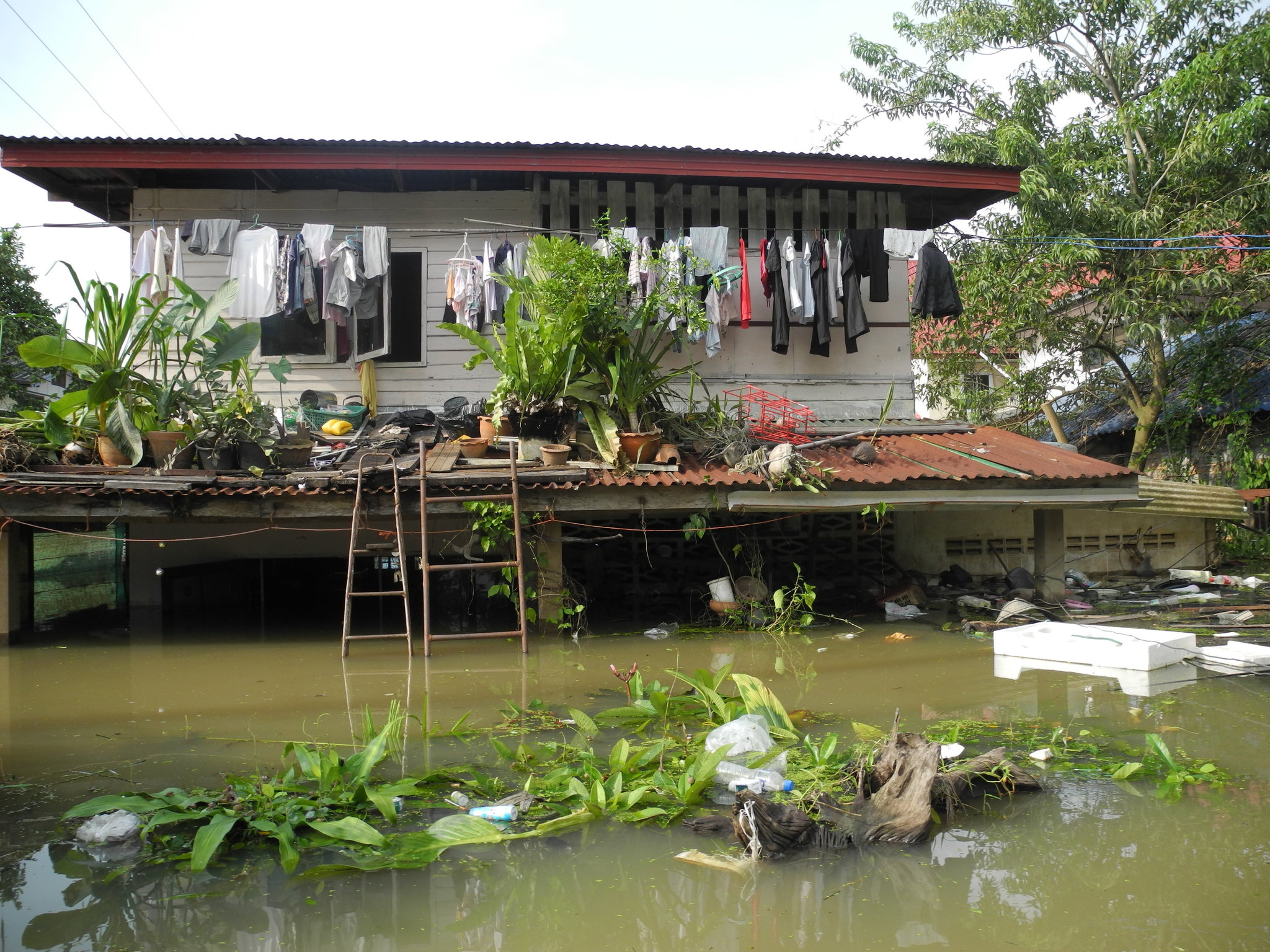 DSCN0727.JPG