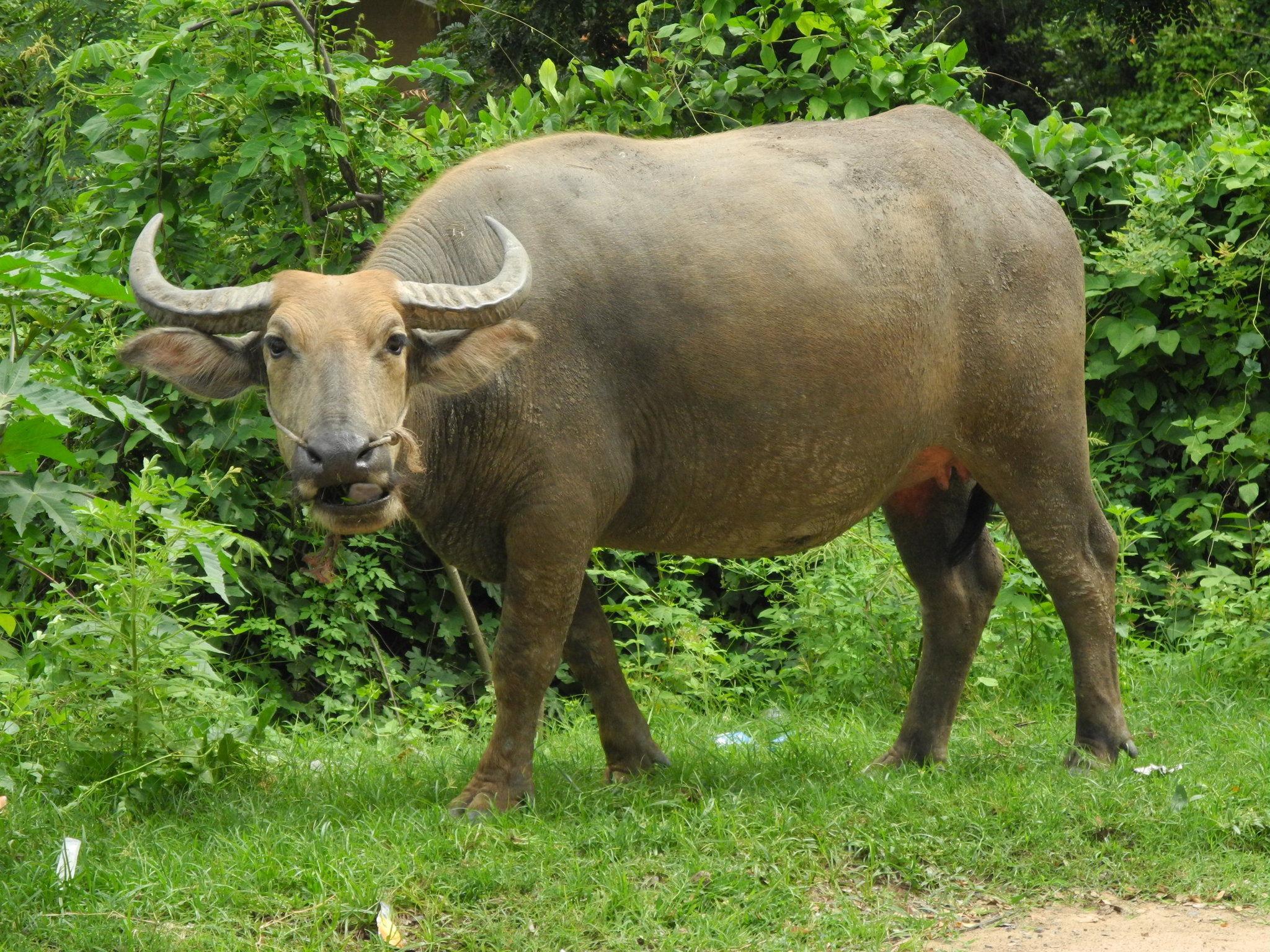 DSCN6814.JPG