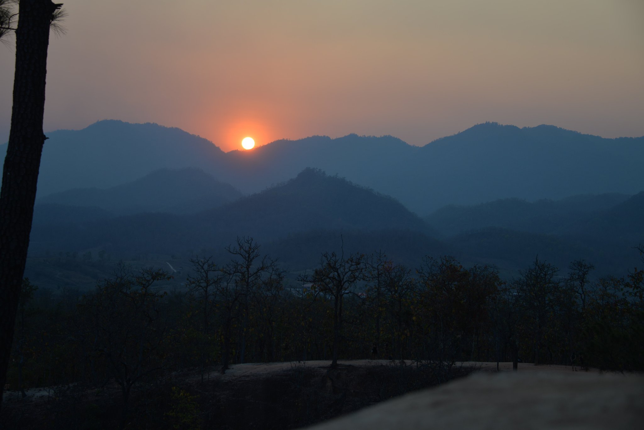 DSC_7772.thumb.jpg.09ddd94b9a35b7be865c881d27239ac4.jpg