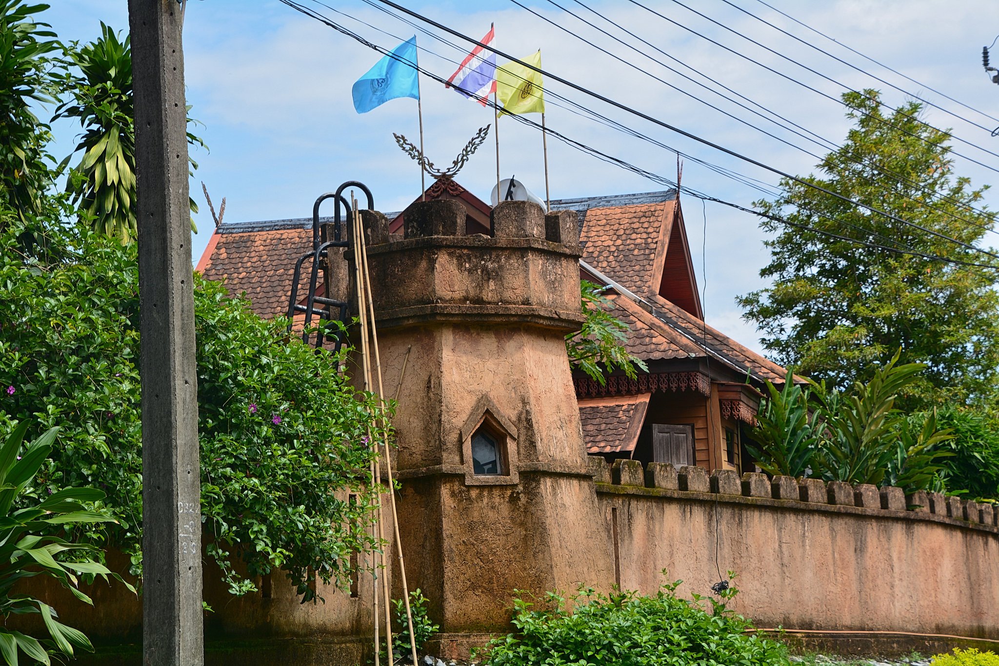 DSC_9050ps.jpg