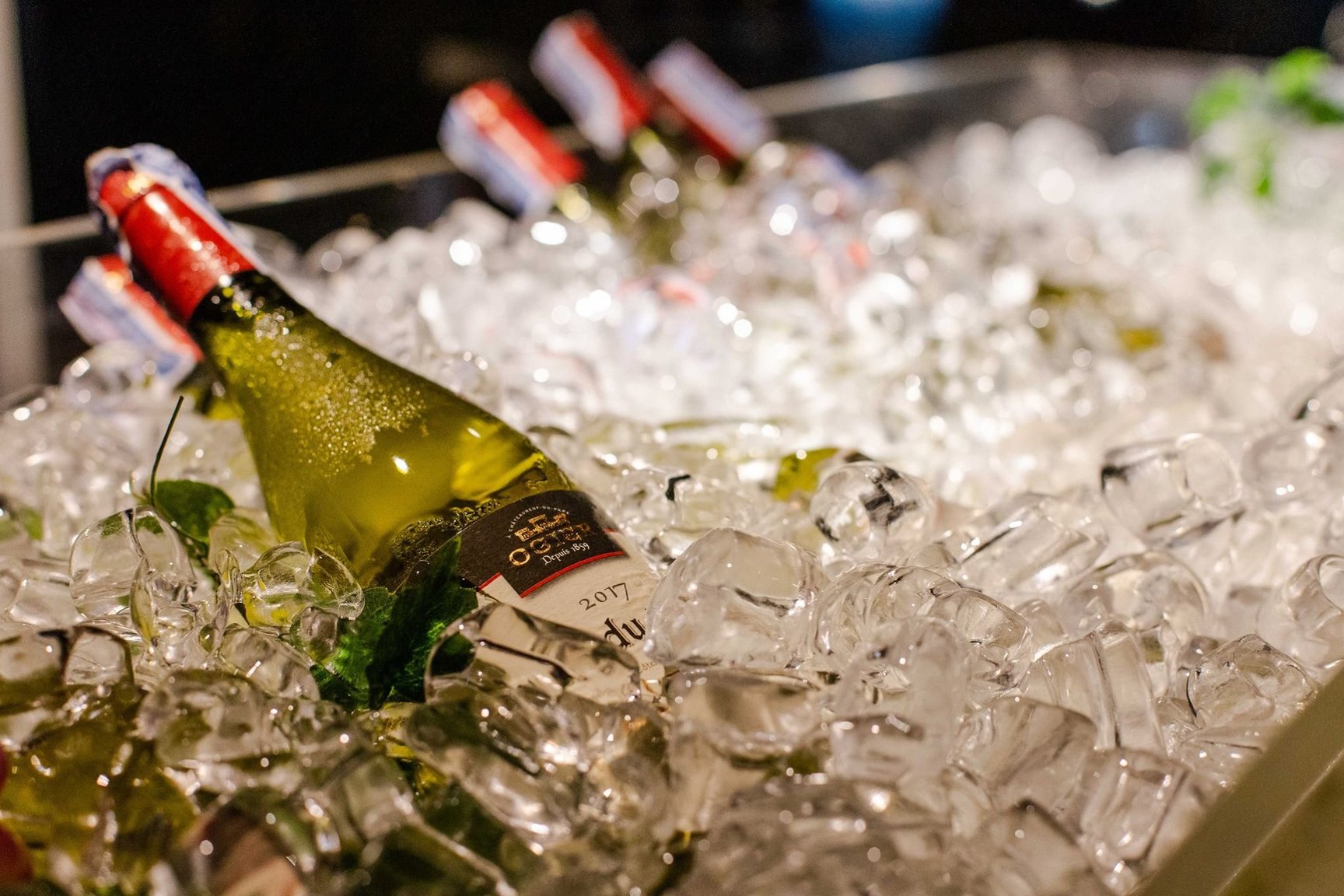 avani.jpg
