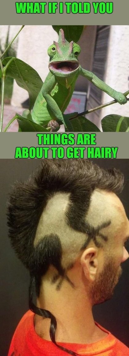hairy.thumb.jpg.b3f9036c84d0dbf86beb73ce490a33d4.jpg