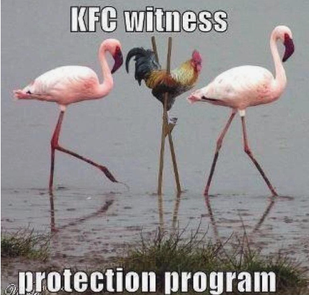 image.png.4ecb0d7ce799147fc15a6ce86aadbce1.png