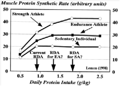 optimal-protein-intake.png.69b4ea04e3c0ad183610ff572c0a44ee.png