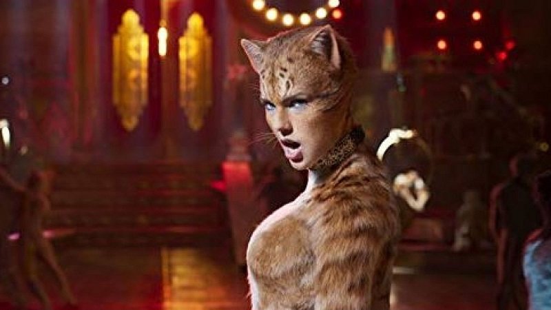 skynews-cats-taylor-swift_4722454.jpg