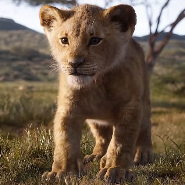 the-lion-king-1563200418.jpg
