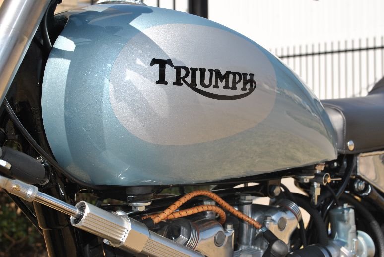 triumph_stiffy_3.jpg.cc1215321a628b438f49b9c27d6508b6.jpg