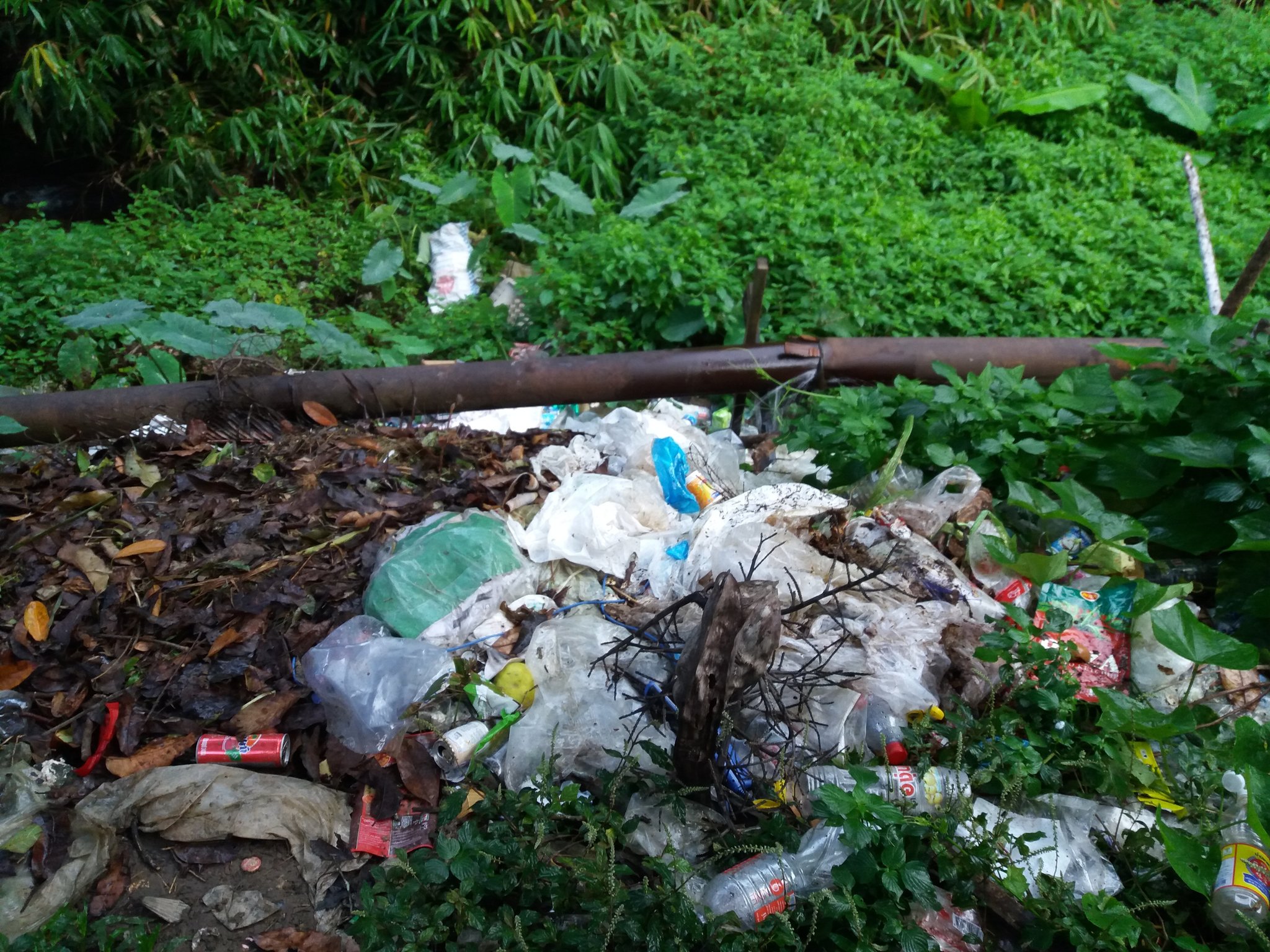 20161106_070327 (1).jpg