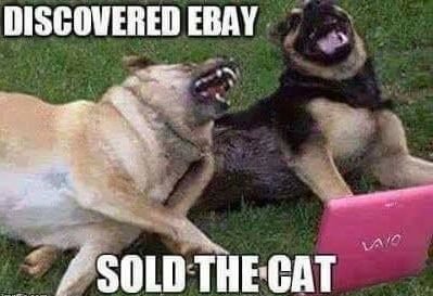 173630726_soldthecat.jpg.28059dddffd75d74957b2ab84580851a.jpg