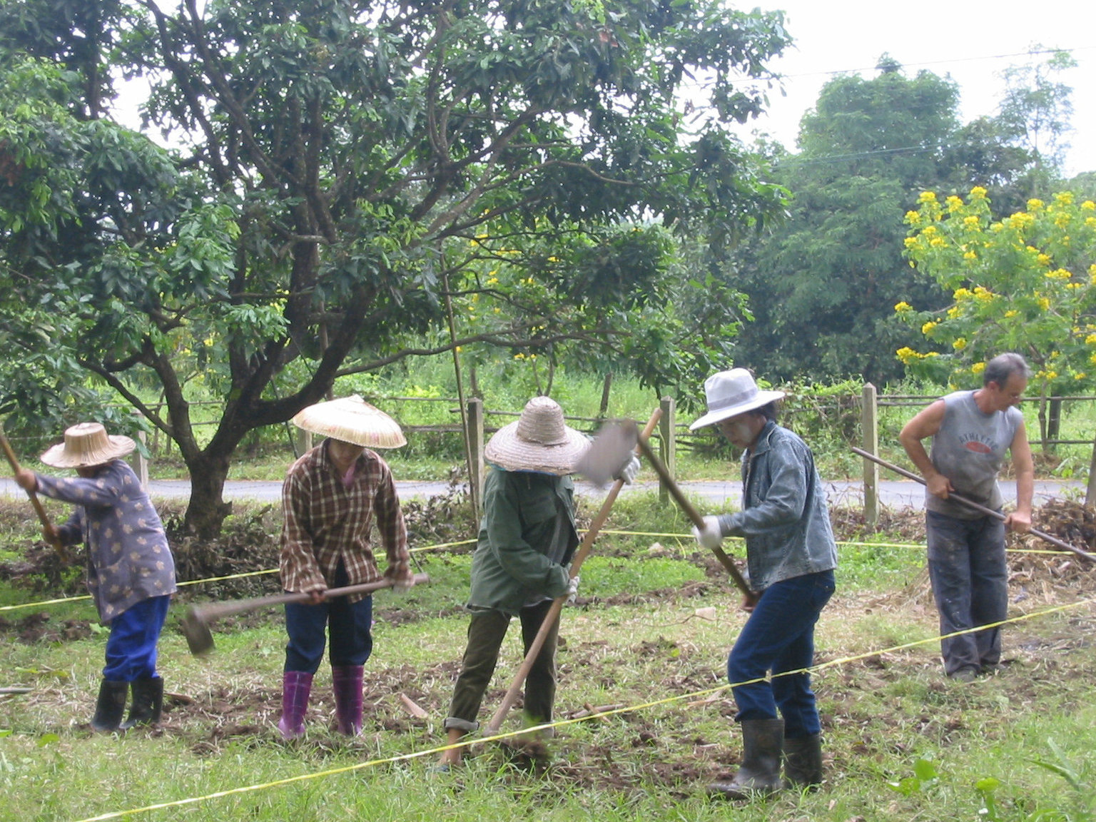 F40 Thai rototiller.jpg