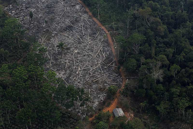 2019-08-11T185156Z_1_LYNXNPEF7A0OP_RTROPTP_4_BRAZIL-AMAZON-GERMANY.JPG