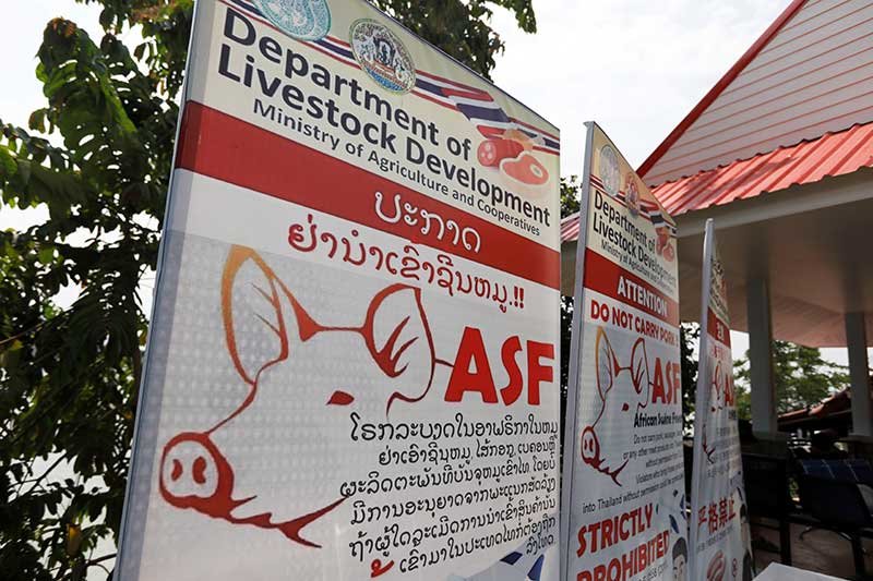 2019-08-15T085433Z_1_LYNXNPEF7E0PK_RTROPTP_4_THAILAND-SWINEFEVER.JPG