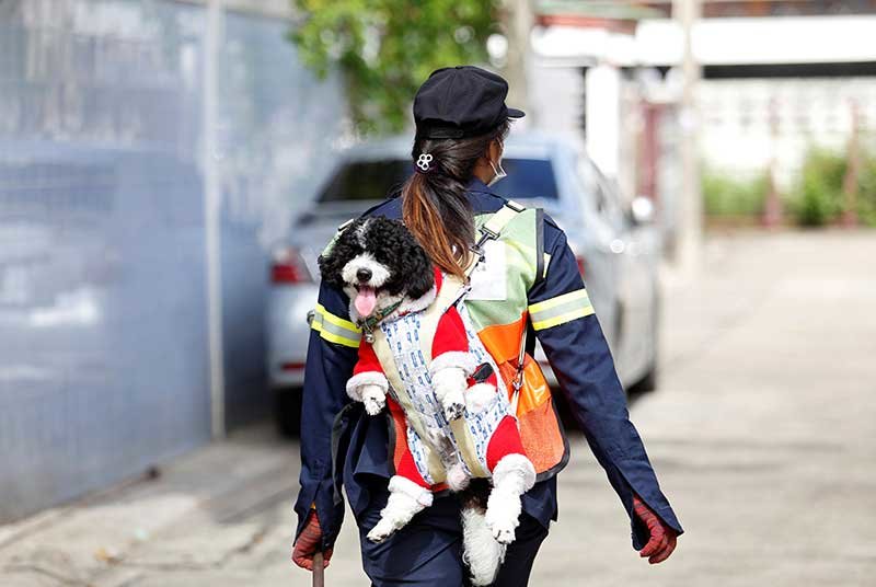 2019-08-28T103931Z_1_LYNXNPEF7R0VH_RTROPTP_4_THAILAND-DOG.JPG