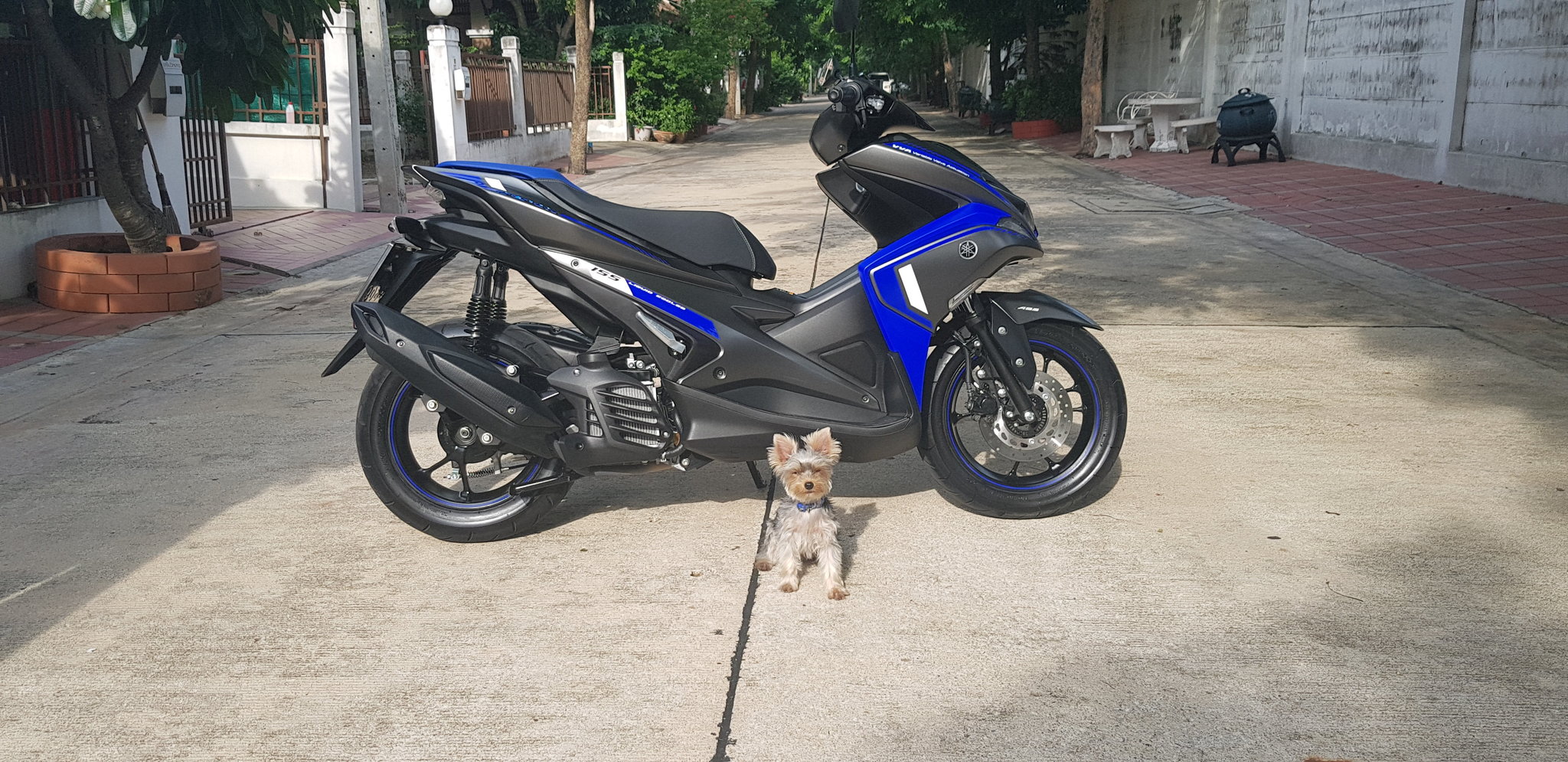 20190711_162156.jpg