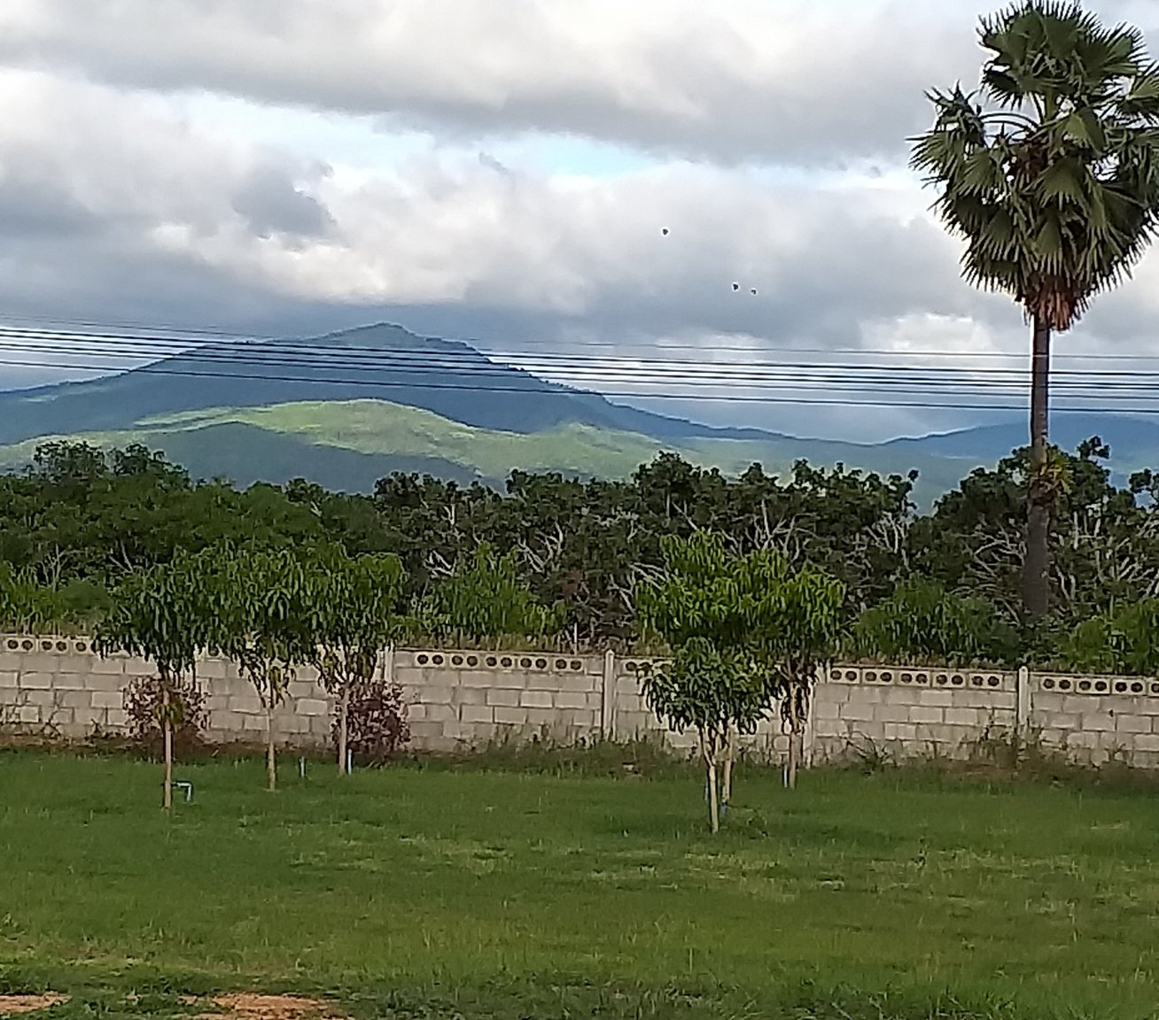 20190730_075522.jpg