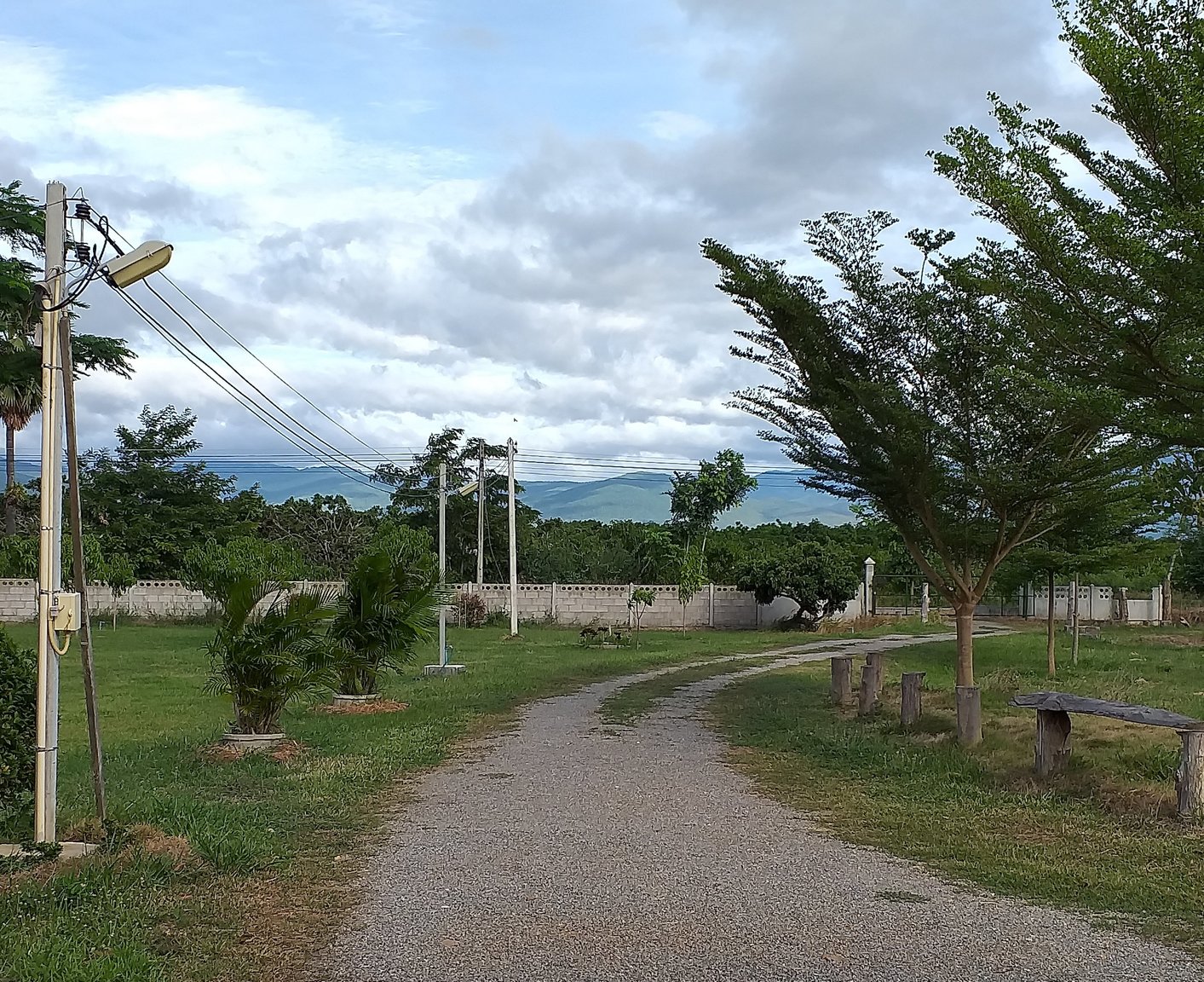 20190730_075758.jpg