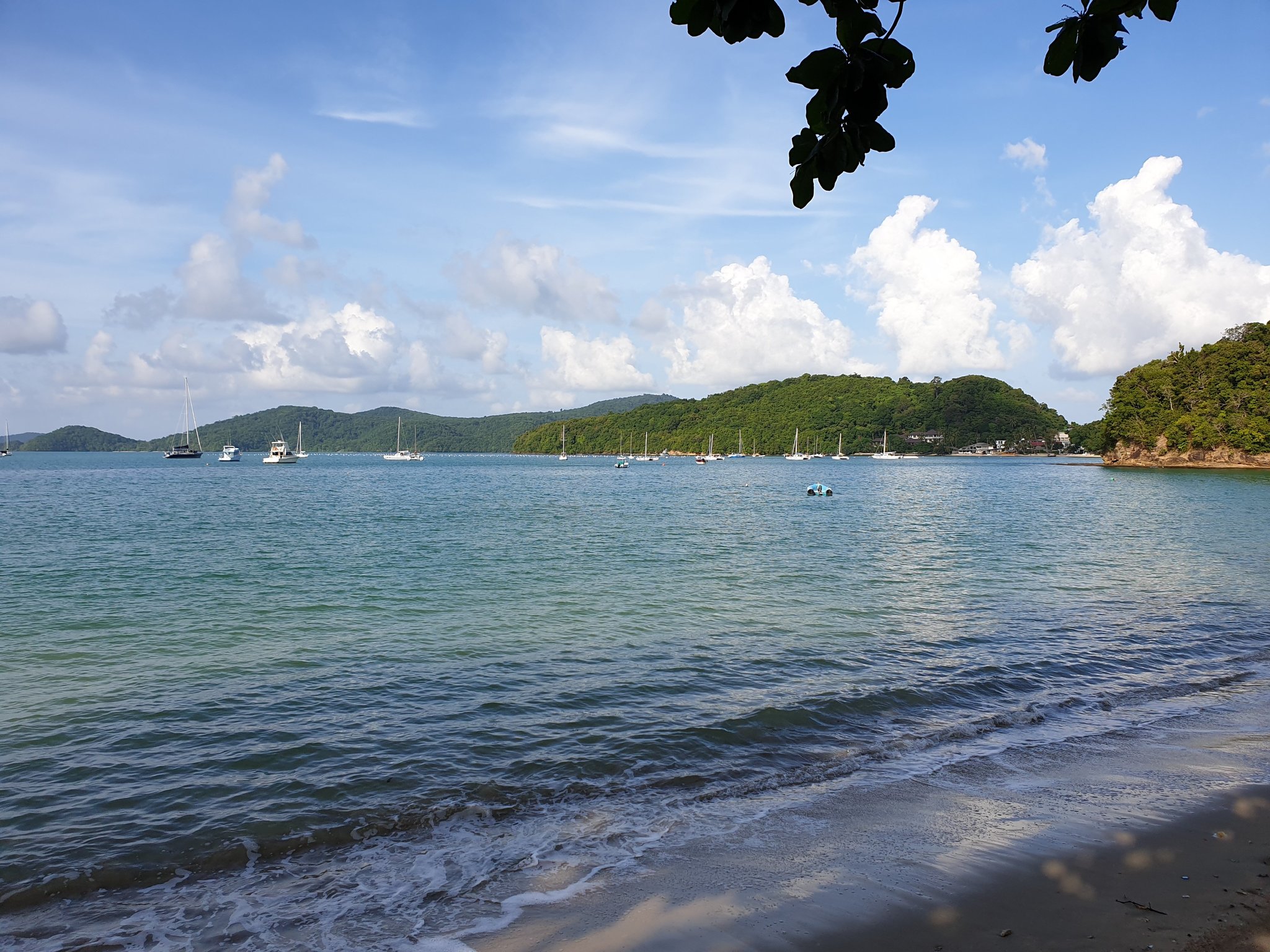 20190731_081713.jpg