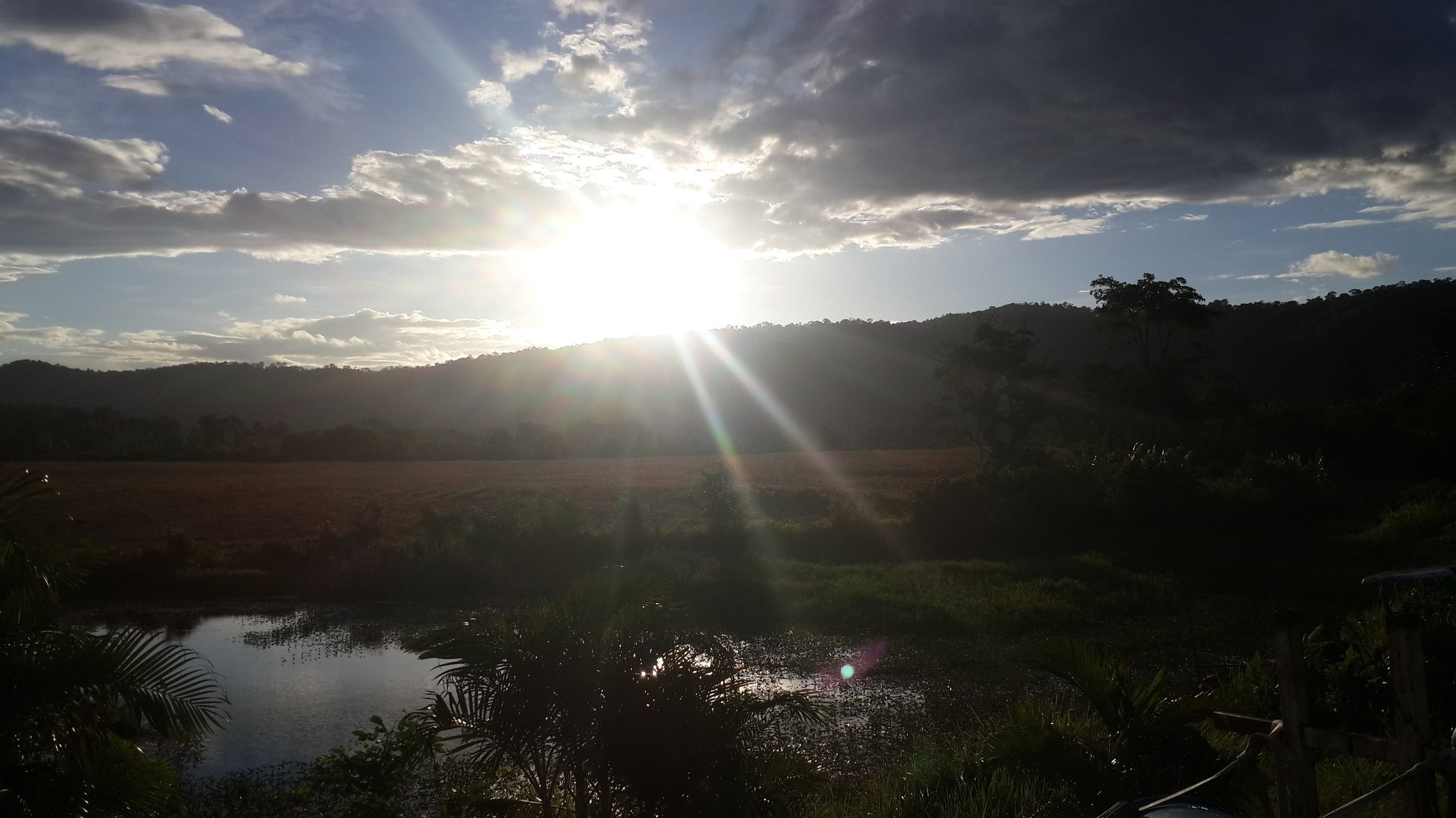 20190808_180248.jpg