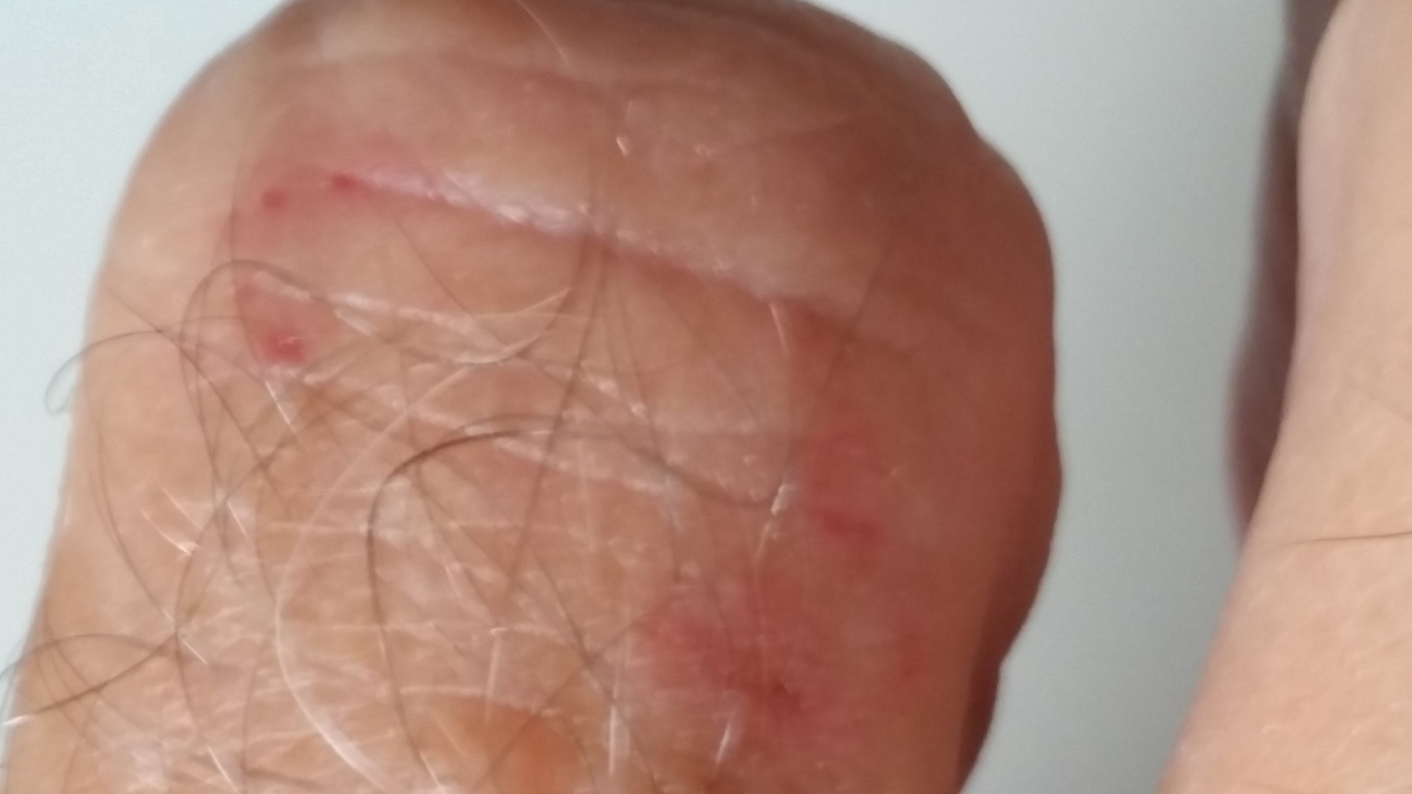 20190816_141813.jpg