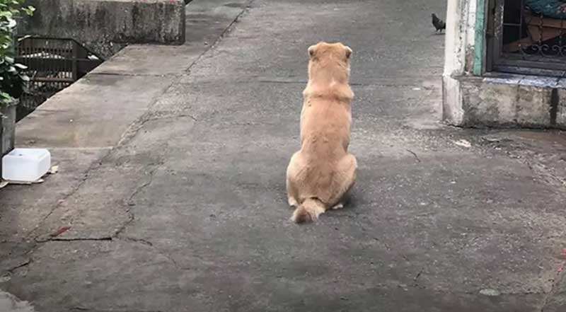 8pm.jpg