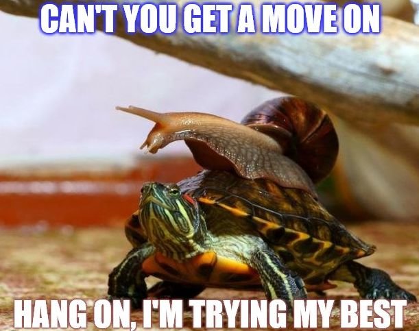 966476485_snailpace.jpg.9f30833b7e18ff7e3a45ad6bfc9c2d8e.jpg