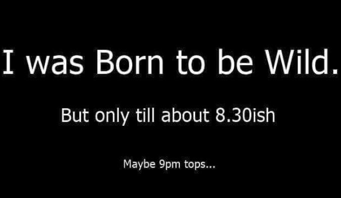 Born2bWild.JPG.bc8b204a1b05115bc390603646897aea.JPG