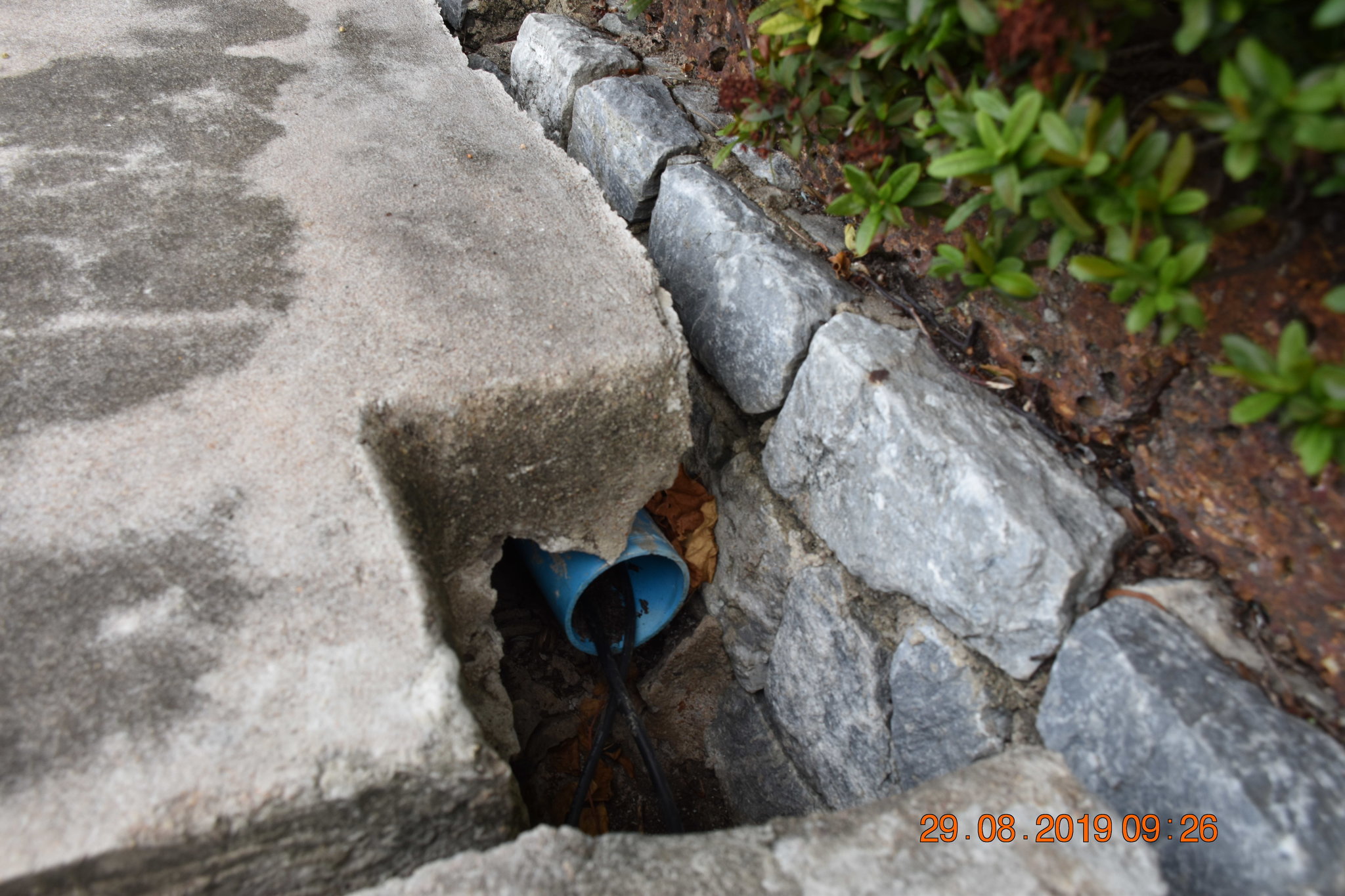 DSC_0094.JPG
