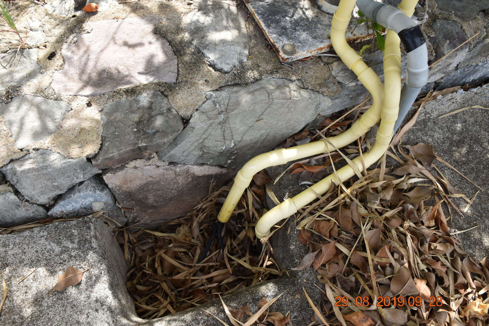 DSC_0098.JPG