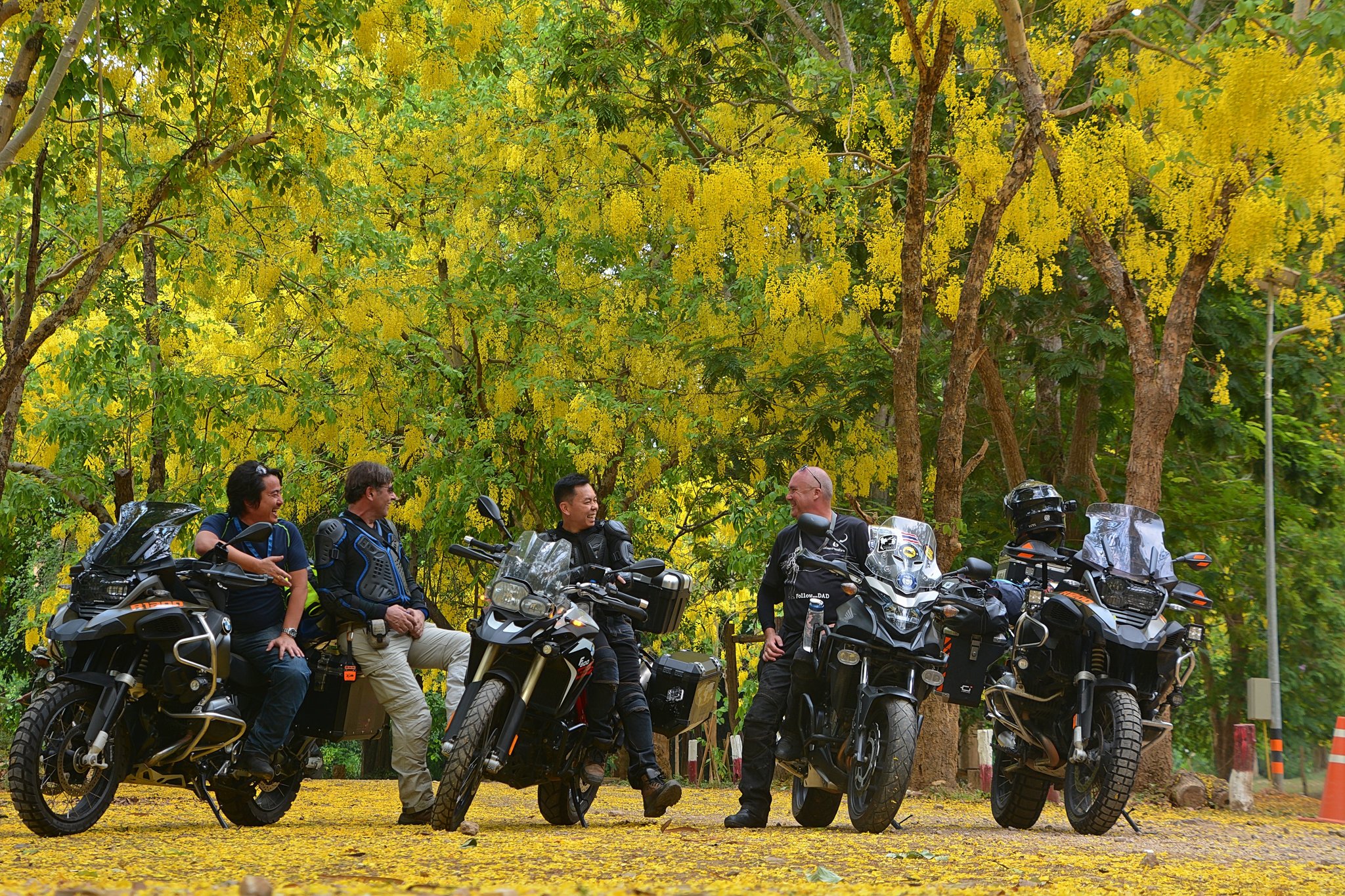 DSC_4235ps.jpg