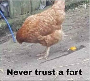 FART.jpg.6706595de7fce42f2bbf43cc1bfd01e3.jpg