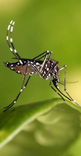image.png.0e125be1a637f68b939997b459ec1905.png
