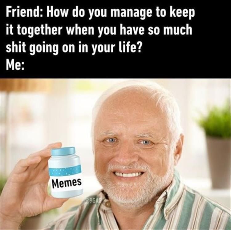 memes.jpg.ad8328dfa8921863d551be4dcacddb0e.jpg