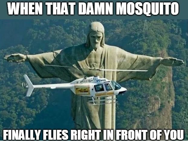 mossie.jpg.7606900a8b68bca4037ecdd8be3dbf3d.jpg