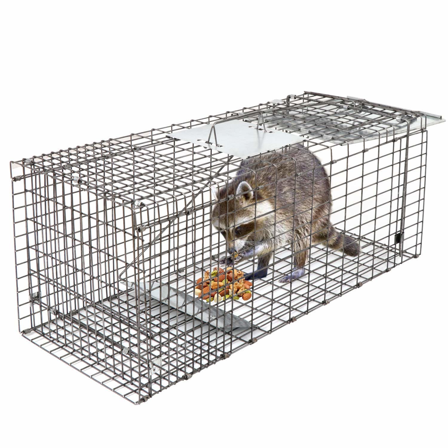 Feral Cat Traps, Small Animal Traps