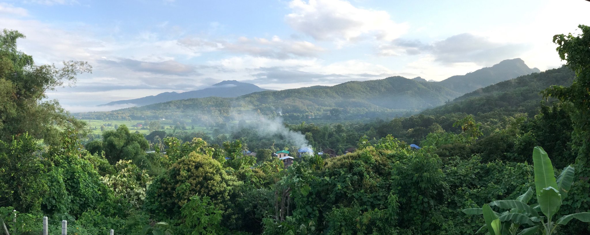 Balcony View Morning.jpg