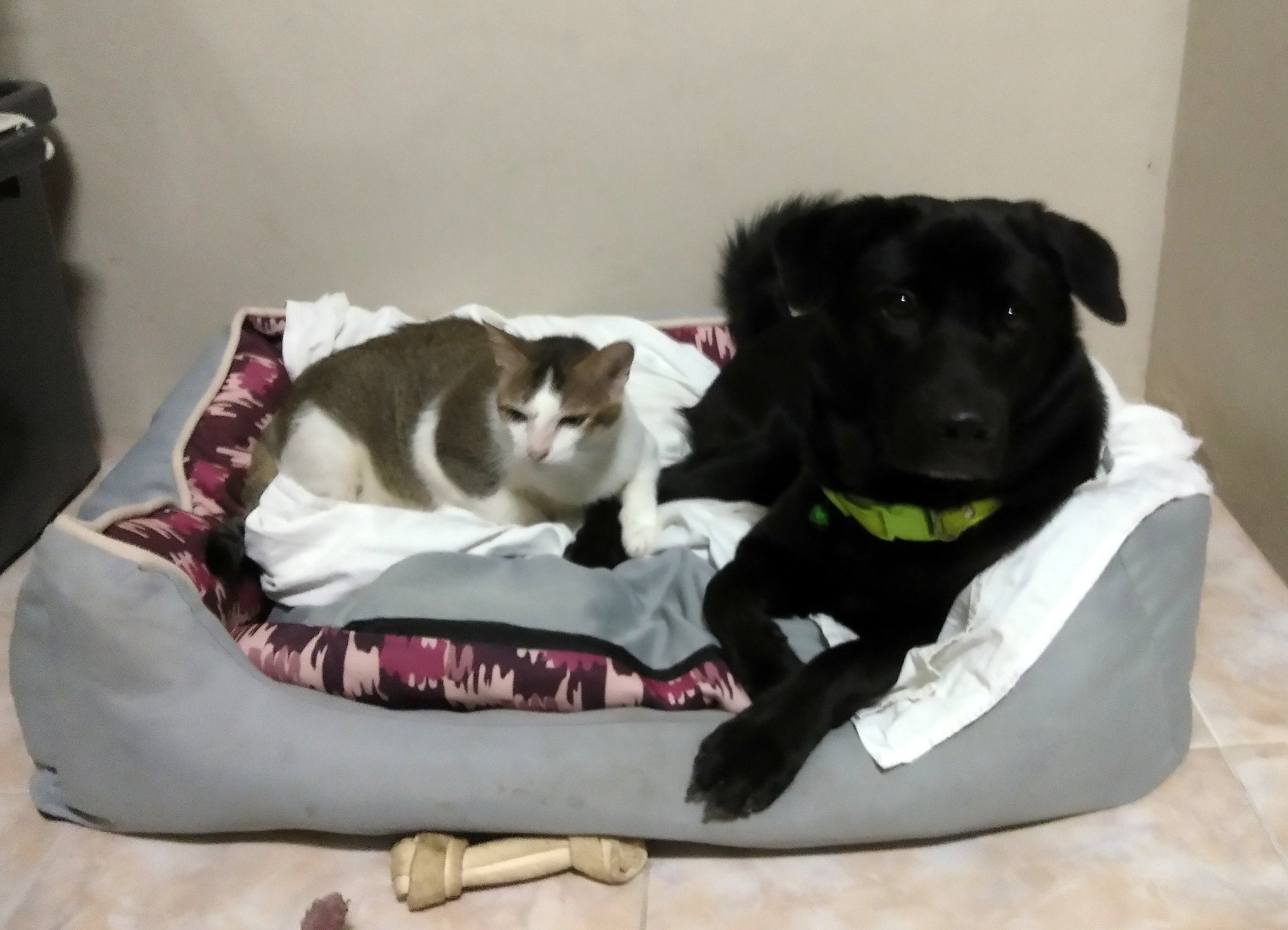 Whitey & Little Man.jpg