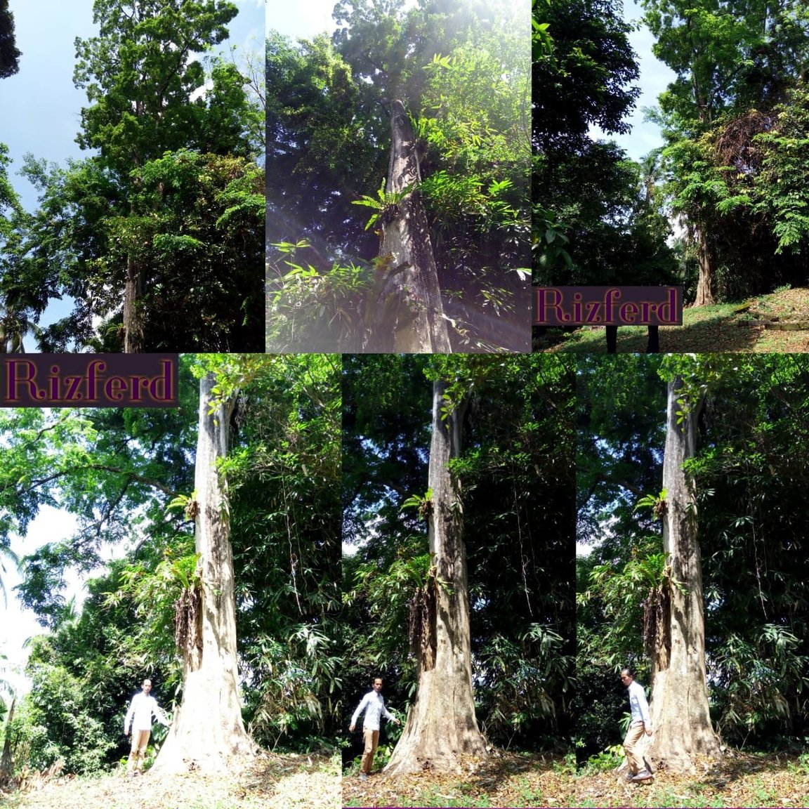 Our Oud Agarwood Gaharu.jpeg